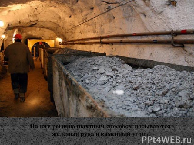 На юге региона шахтным способом добываются железная руда и каменный уголь.