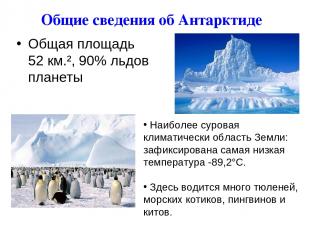 Общие сведения об Антарктиде Общая площадь 52 км.², 90% льдов планеты Наиболее с