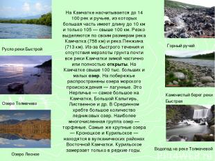 На Камчатке насчитывается до 14 100 рек и ручьев, из которых большая часть имеет