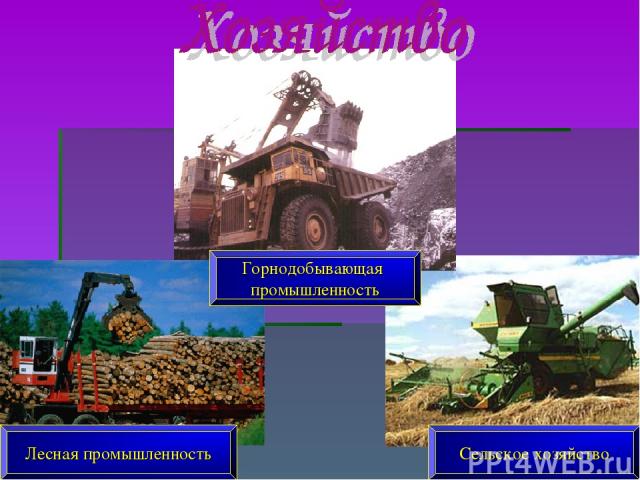 Горнодобывающая промышленность Сельское хозяйство Лесная промышленность