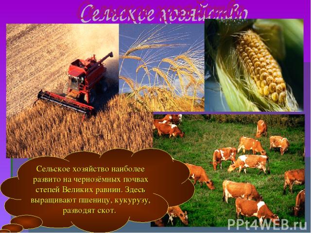 Сельское хозяйство наиболее развито на чернозёмных почвах степей Великих равнин. Здесь выращивают пшеницу, кукурузу, разводят скот.
