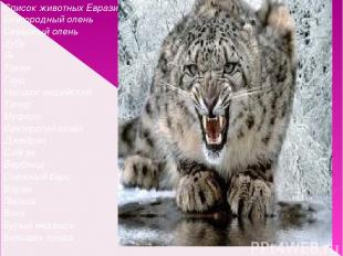 Список животных Евразии: Благородный олень Северный олень Зубр Як Такин Гаур Нос