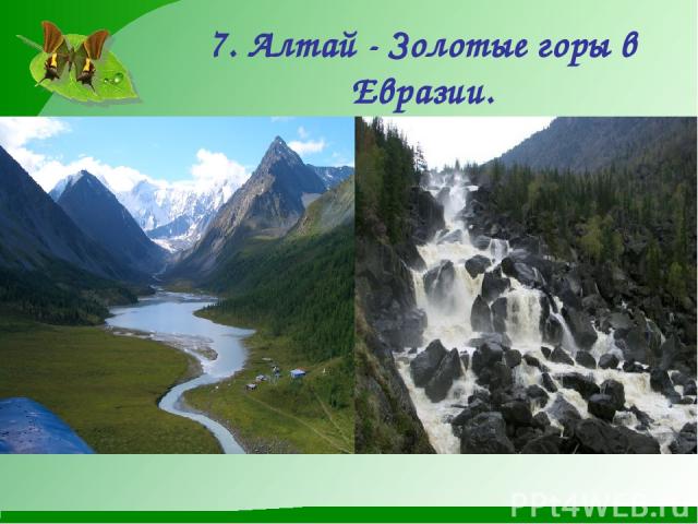 7. Алтай - Золотые горы в Евразии.