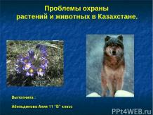 Охрана природы Казахстана