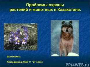 Проблемы охраны растений и животных в Казахстане. Выполнила : Абельдинова Алия 1