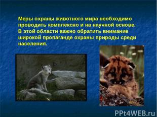 Меры охраны животного мира необходимо проводить комплексно и на научной основе.