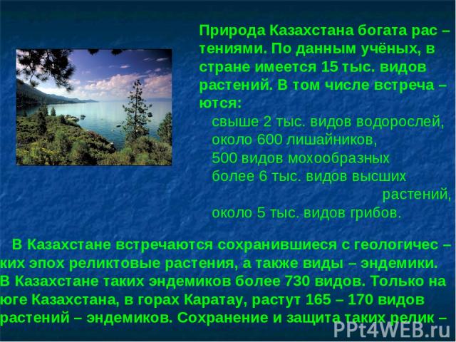 Природа Казахстана богата рас – тениями. По данным учёных, в стране имеется 15 тыс. видов растений. В том числе встреча – ются: свыше 2 тыс. видов водорослей, около 600 лишайников, 500 видов мохообразных более 6 тыс. видов высших растений, около 5 т…