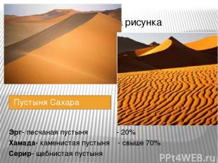 Пустыня Сахара Эрг- песчаная пустыня - 20% Хамада- каменистая пустыня - свыше 70