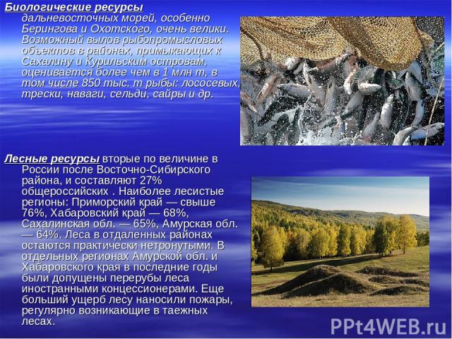 Биологические ресурсы дальневосточных морей, особенно Берингова и Охотского, очень велики. Возможный вылов рыбопромысловых объектов в районах, примыкающих к Сахалину и Курильским островам, оценивается более чем в 1 млн т, в том числе 850 тыс. т рыбы…