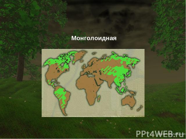 Монголоидная