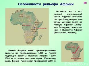 Низкая Африка имеет преимущественно высоты, не превышающие 1000 м. Преоб- ладающ