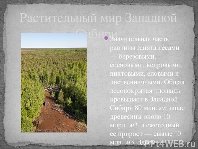 Растительный мир Западной Сибири. Значительная часть равнины занята лесами — березовыми, сосновыми, кедровыми, пихтовыми, еловыми и лиственничными. Общая лесопокрытая площадь превышает в Западной Сибири 80 млн. га; запас древесины около 10 млрд. м3,…