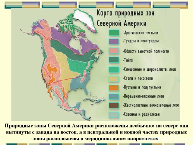 Природные зоны Северной Америки расположены необычно: на севере они вытянуты с запада на восток, а в центральной и южной частях природные зоны расположены в меридиональном направлении
