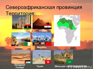 Североафриканская провинция Территория: Ливия Египет Тунис Алжир Марокко Западна