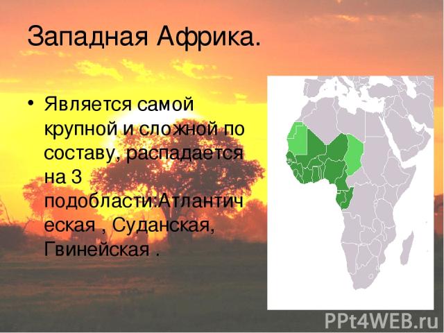 Западная Африка. Является самой крупной и сложной по составу, распадается на 3 подобласти:Атлантическая , Суданская, Гвинейская .