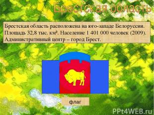 Брестская область расположена на юго-западе Белоруссии. Площадь 32,8 тыс. км². Н