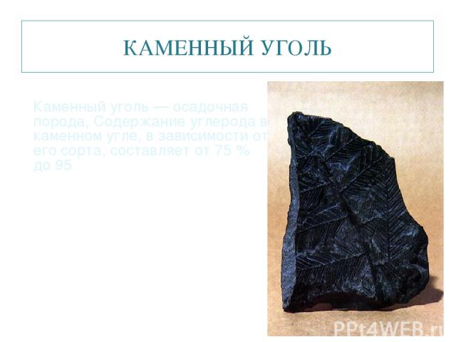 КАМЕННЫЙ УГОЛЬ Каменный уголь — осадочная порода, Содержание углерода в каменном угле, в зависимости от его сорта, составляет от 75 % до 95