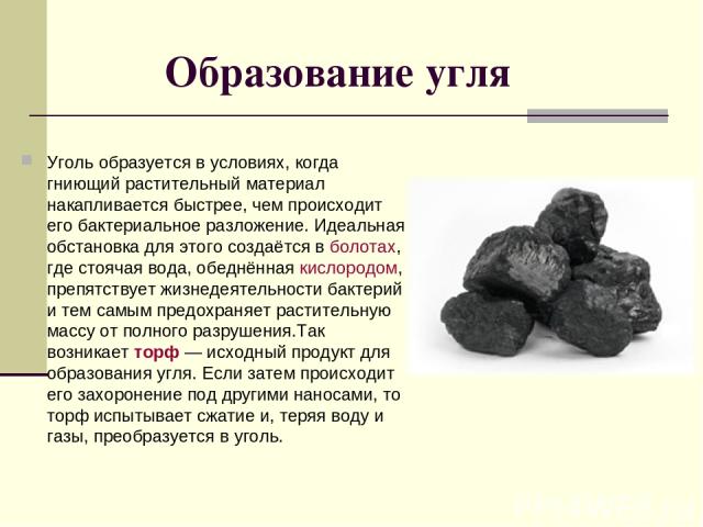 Каменный уголь биология. Образование каменного угля 5 класс. Формирование каменного угля. Каменный уголь образовался. Процесс образования каменного угля.
