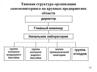 * Типовая структура организации самомониторинга на крупных предприятиях области