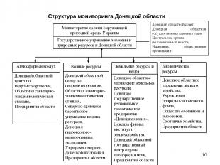 * Структура мониторинга Донецкой области Государственное управление экологии и п