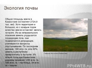 Экология почвы Общая площадь земли в Казахстане составляет 2724,9 тыс. км2. Хотя