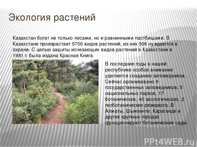 Экология растений Казахстан богат не только лесами, но и равнинными пастбищами. В Казахстане произрастает 5700 видов растений, из них 506 нуждаются в охране. С целью защиты исчезающих видов растений в Казахстане в 1981 г. была издана Красная Книга. …