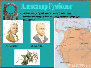 Александр Гумбольт совместно с Эли Бонпланом провели исследование природы матери