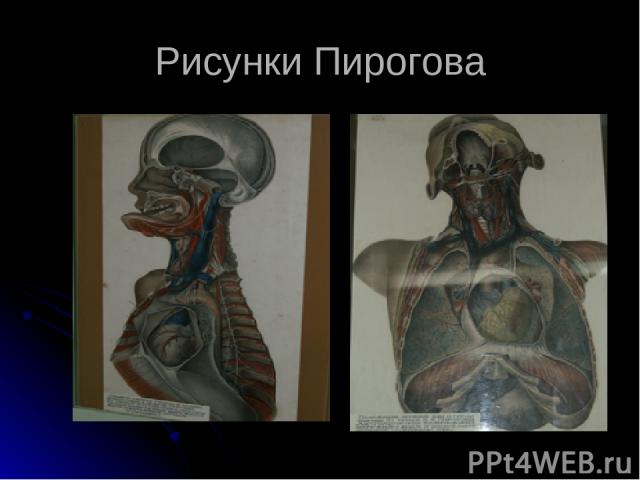 Рисунки Пирогова