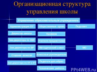 Организационная структура управления школы