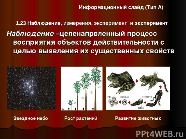 1.23 Наблюдение, измерения, эксперимент и эксперимент Информационный слайд (Тип А) Наблюдение –целенапрвленный процесс восприятия объектов действительности с целью выявления их существенных свойств Звездное небо Рост растений Развитие животных