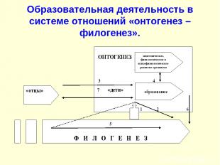 Образовательная деятельность в системе отношений «онтогенез – филогенез».