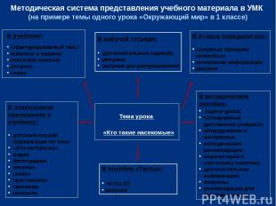 Методическая система представления учебного материала в УМК (на примере темы одн