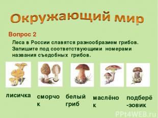 Леса в России славятся разнообразием грибов. Запишите под соответствующими номер