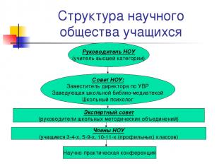 Структура научного общества учащихся Руководитель НОУ (учитель высшей категории)