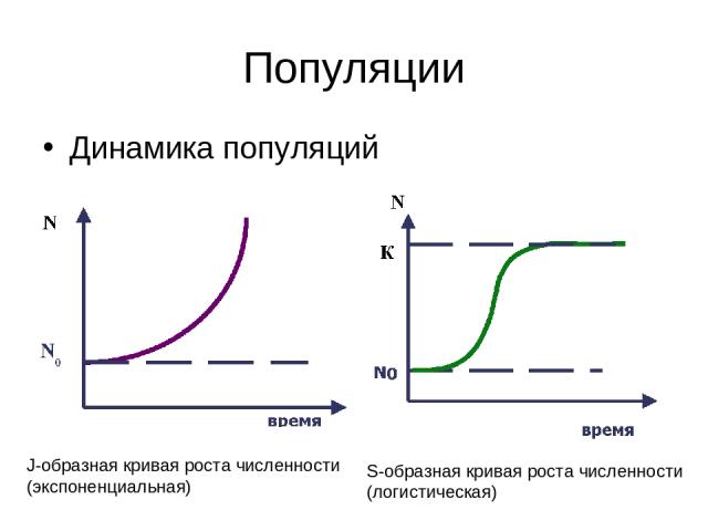 Популяции Динамика популяций J-образная кривая роста численности (экспоненциальная) S-образная кривая роста численности (логистическая)
