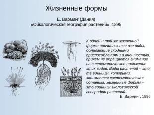 Жизненные формы Е. Варминг (Дания) «Ойкологическая география растений», 1895 К о