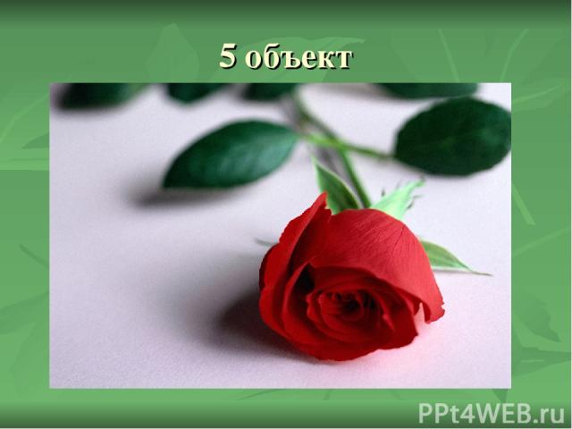 5 объект