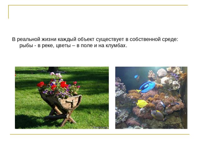 В реальной жизни каждый объект существует в собственной среде: рыбы - в реке, цветы – в поле и на клумбах.