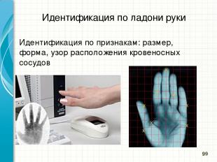 Идентификация по ладони руки Идентификация по признакам: размер, форма, узор рас