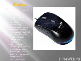 Мышь Манипулятор «мышь» – это одно из указательных устройств ввода, обеспечивающ