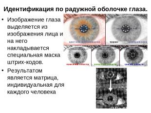 Идентификация по радужной оболочке глаза. Изображение глаза выделяется из изобра