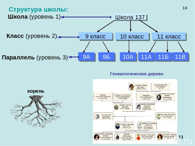 * Структура школы: Генеалогическое дерево 14