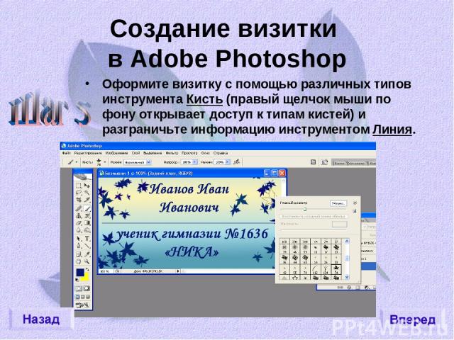 Создание визитки в Adobe Photoshop Оформите визитку с помощью различных типов инструмента Кисть (правый щелчок мыши по фону открывает доступ к типам кистей) и разграничьте информацию инструментом Линия.