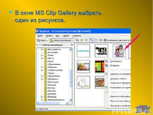 В окне MS Clip Gallery выбрать один из рисунков. 7