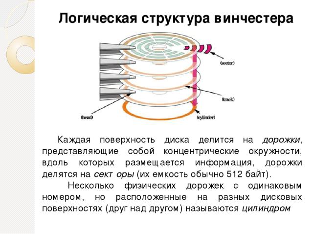 Логическая структура винчестера Каждая поверхность диска делится на дорожки, представляющие собой концентрические окружности, вдоль которых размещается информация, дорожки делятся на секторы (их емкость обычно 512 байт). Несколько физических дорожек…