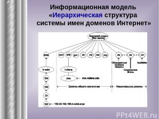 Информационная модель «Иерархическая структура системы имен доменов Интернет»