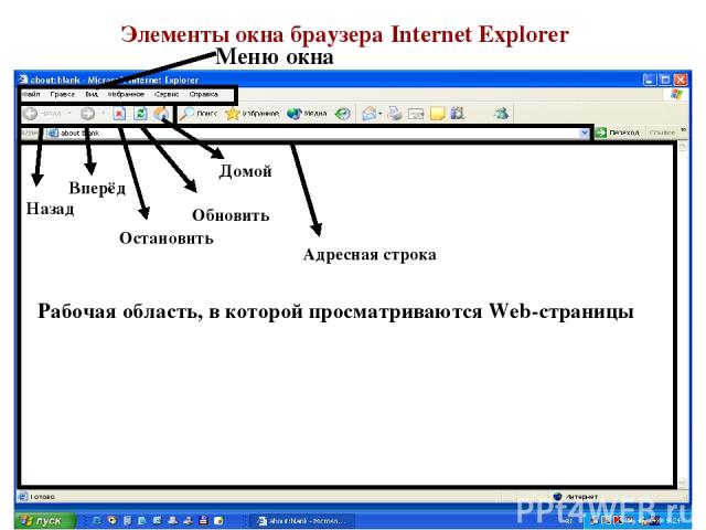 Элементы окна браузера Internet Explorer Меню окна Назад Вперёд Домой Обновить Остановить Адресная строка Рабочая область, в которой просматриваются Web-страницы
