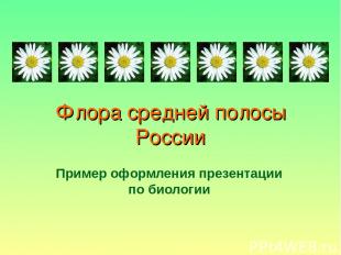 Флора средней полосы России Пример оформления презентации по биологии