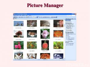 Picture Manager