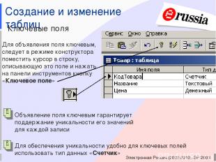Электронная Россия (2002-2010), ЭР-2003 Создание и изменение таблиц Ключевые пол